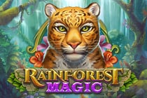 Rainforest Magic Rainforest Magic